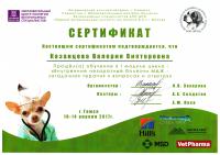 Сертификат сотрудника Казанцева В.В.